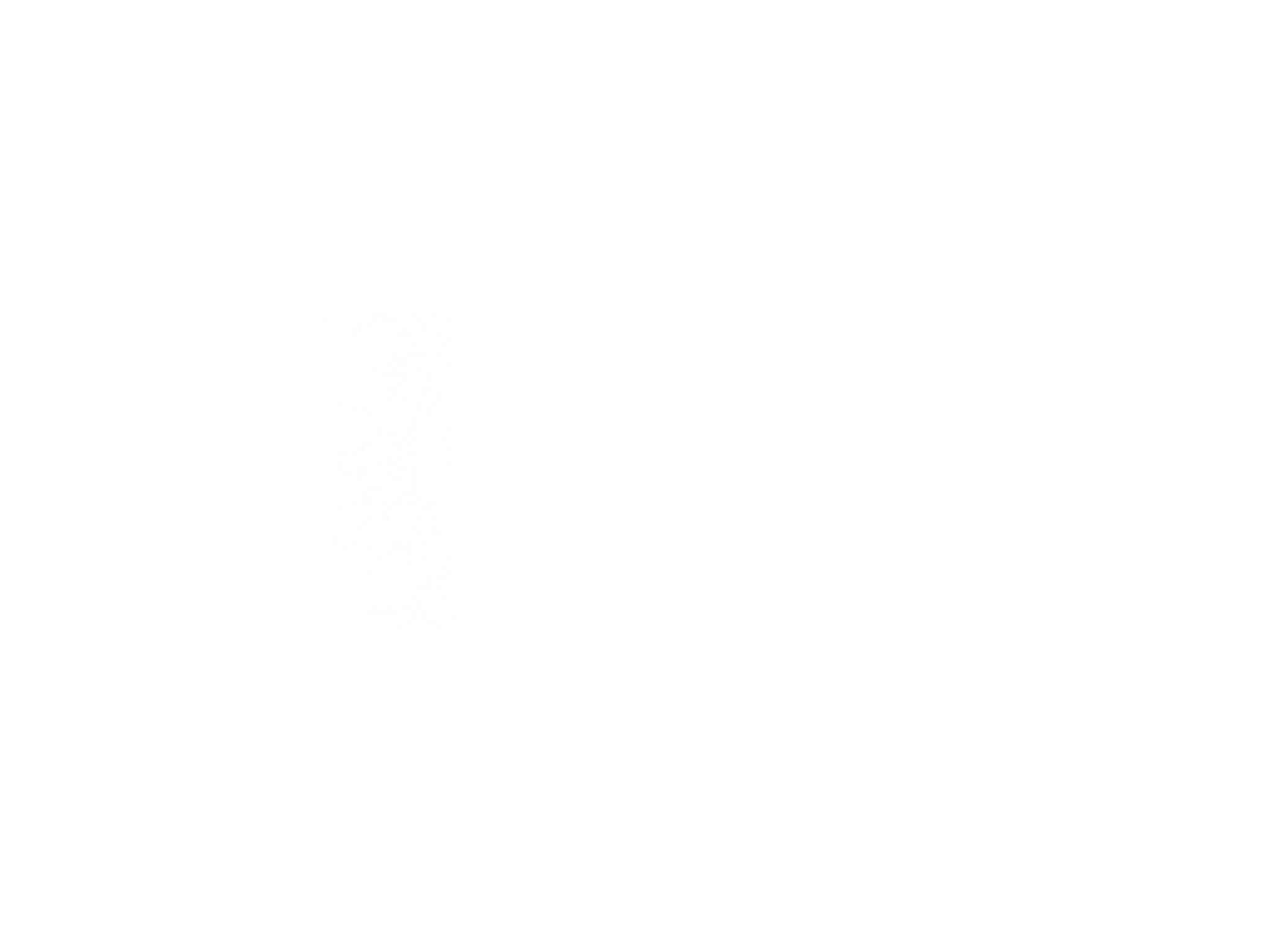Eve